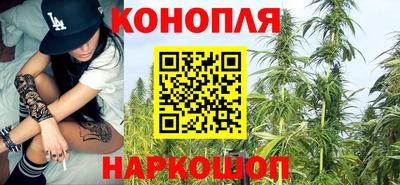 стафф Камень-на-Оби