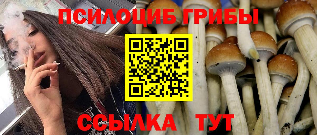Псилоцибиновые грибы MAGIC MUSHROOMS  Вход с VPN  Белореченск 